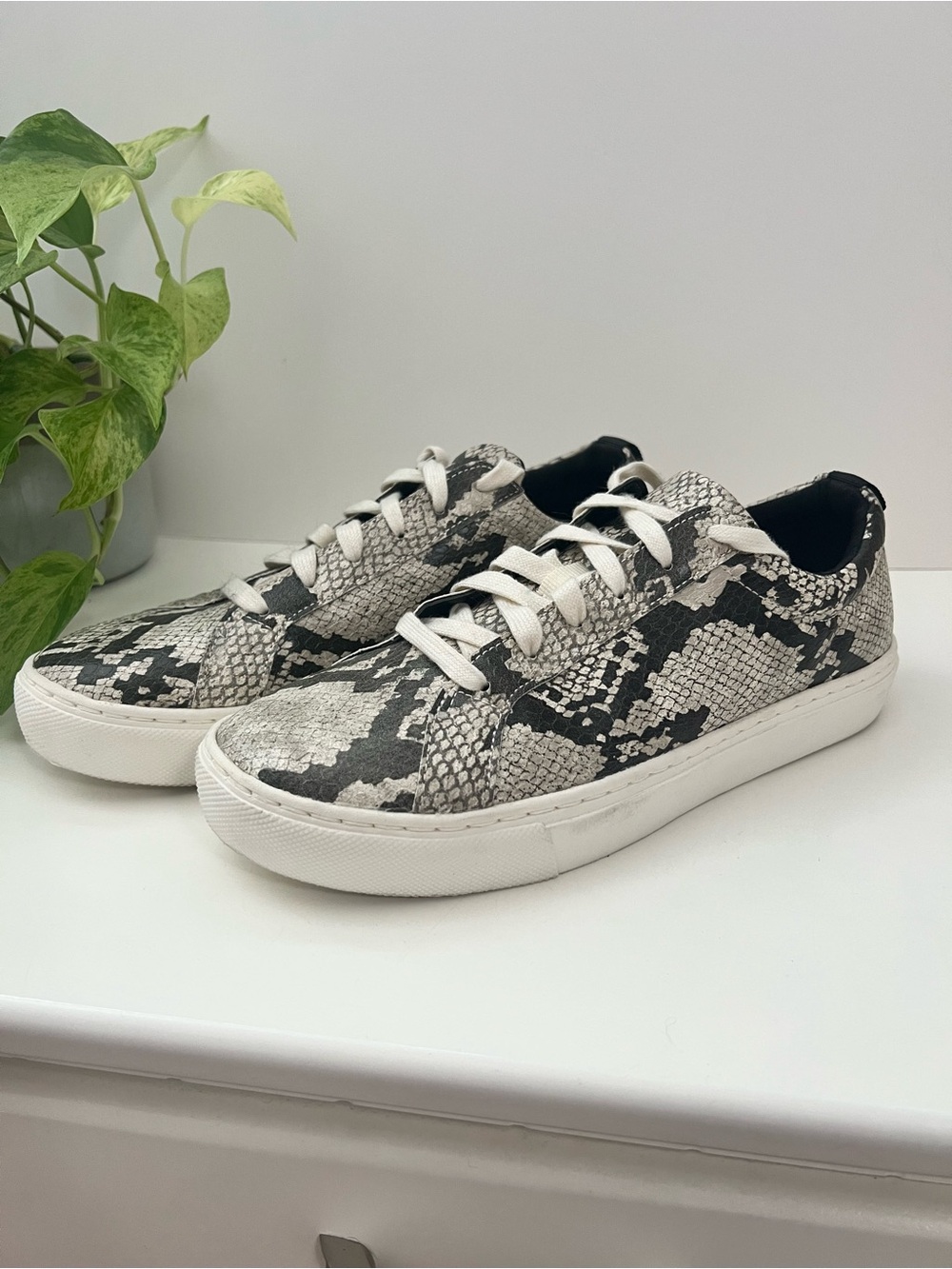 NEW Dr Sholl’s Snakeskin No Bad Vibes Lace Up Sneakers, Size 9 - Picture 4 of 14